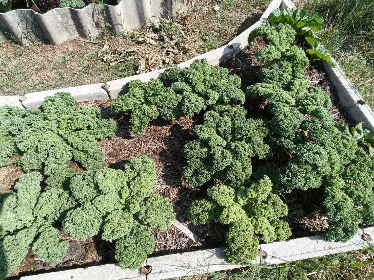 title - ผู้ตรวจราชการ ส.ป.ก. ประชุมตรวจติดตามความก้าวหน้าผลการดำเนินงานตามแผนการตรวจราชการ ประจำปีงบประมาณ พ.ศ. 2569 รอบที่ 1 เขตตรวจราชการที่ 8 จังหวัดฉะเชิงเทรา 